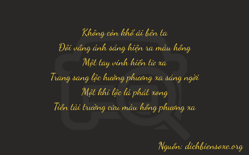 Thơ dịch biển số xe 02119
