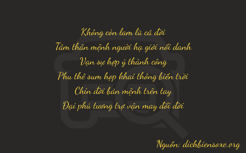 Thơ dịch biển số xe 03896