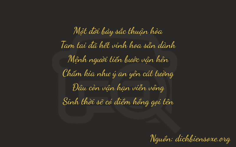 Thơ dịch biển số xe 13205