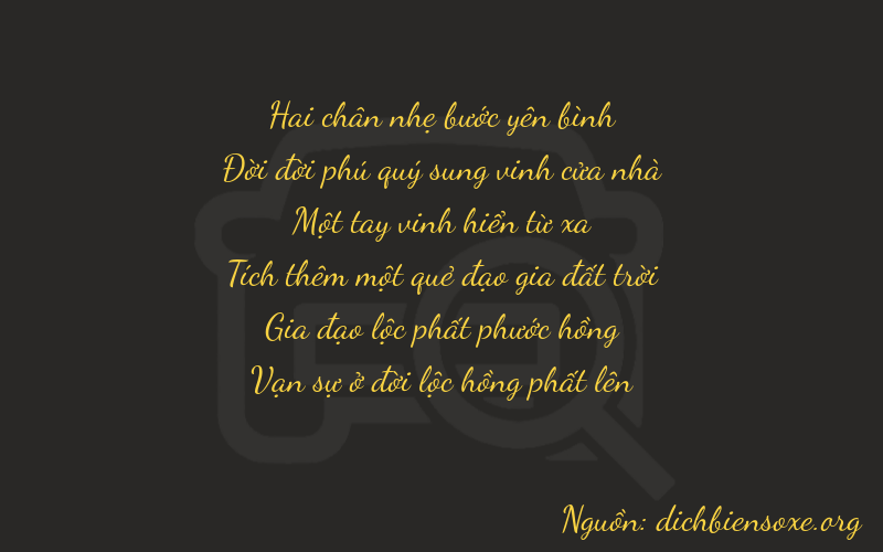 Thơ dịch biển số xe 21164