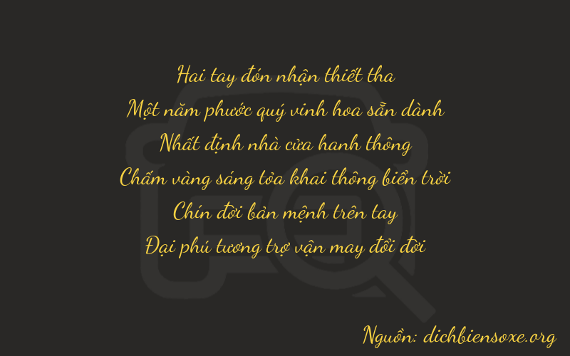 Thơ dịch biển số xe 21196