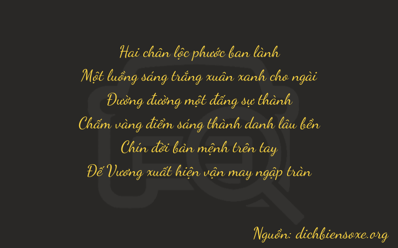 Thơ dịch biển số xe 21199