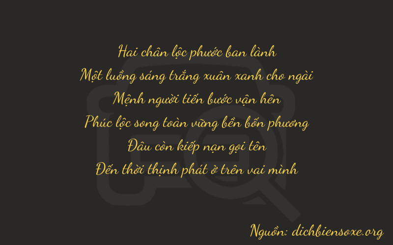 Thơ dịch biển số xe 21208