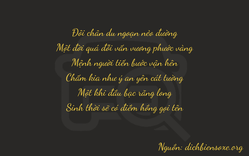 Thơ dịch biển số xe 21215