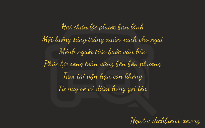 Thơ dịch biển số xe 21235