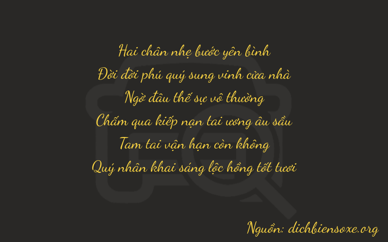 Thơ dịch biển số xe 21236