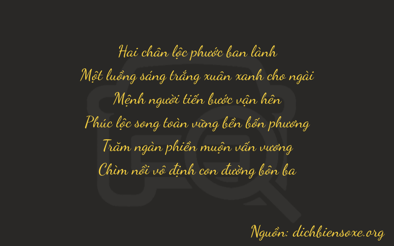 Thơ dịch biển số xe 21253