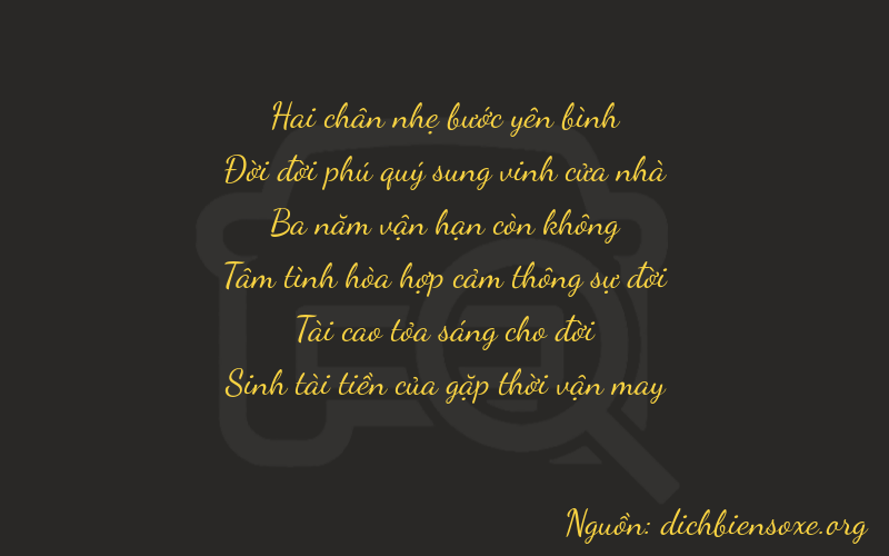 Thơ dịch biển số xe 21335