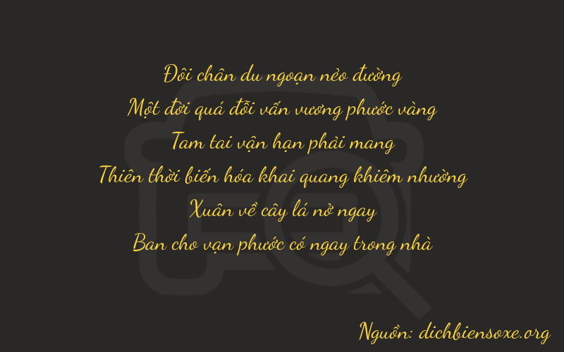 Thơ dịch biển số xe 21368