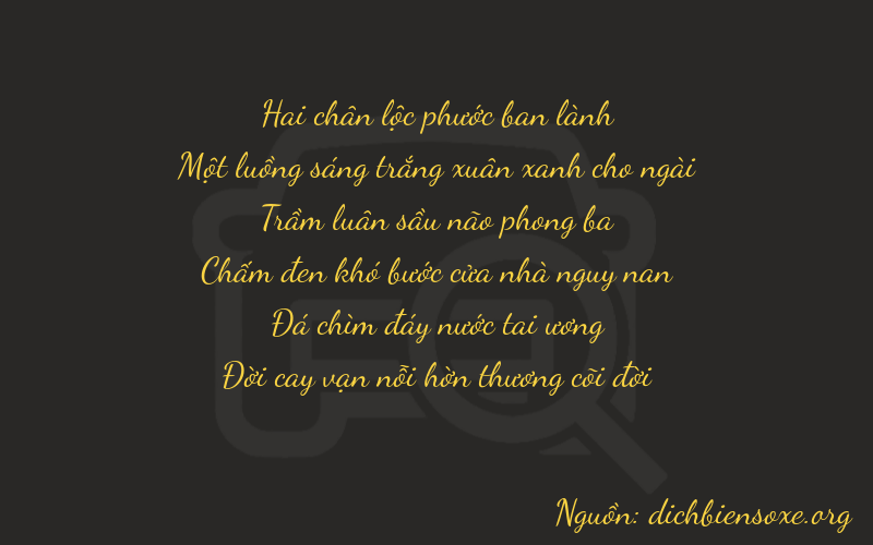 Thơ dịch biển số xe 21397