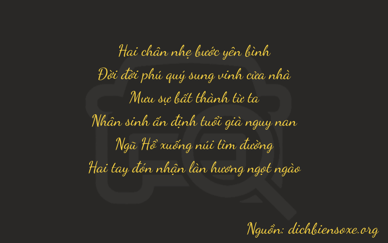 Thơ dịch biển số xe 21452