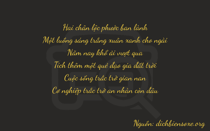 Thơ dịch biển số xe 21559
