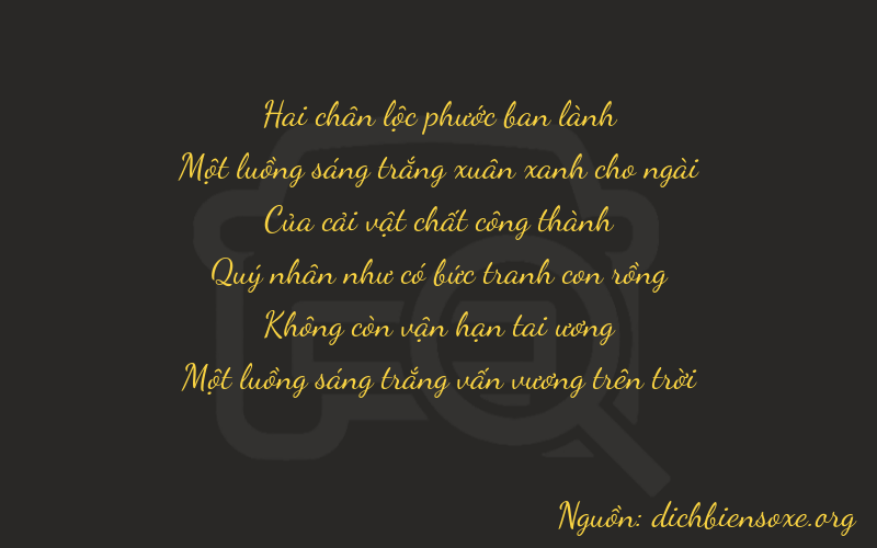 Thơ dịch biển số xe 21901