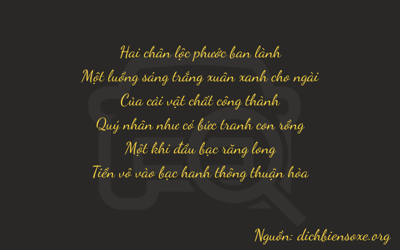Thơ dịch biển số xe 21910