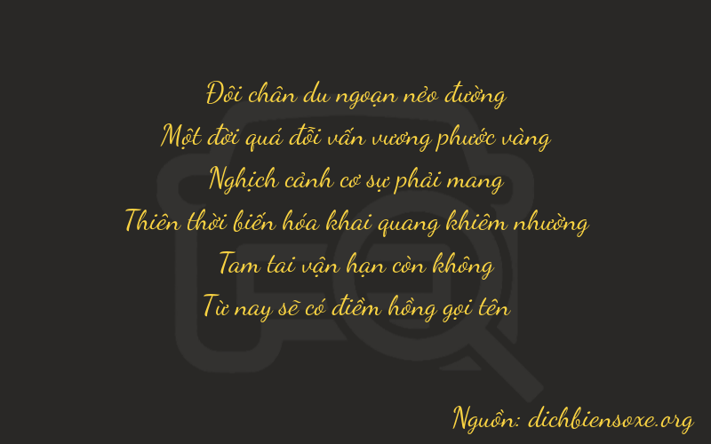 Thơ dịch biển số xe 21935