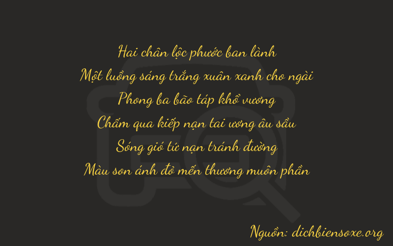 Thơ dịch biển số xe 21937