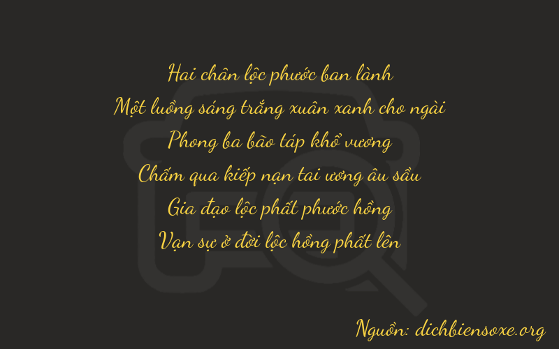 Thơ dịch biển số xe 21964