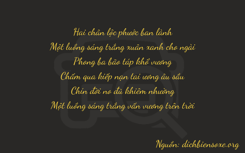 Thơ dịch biển số xe 21991