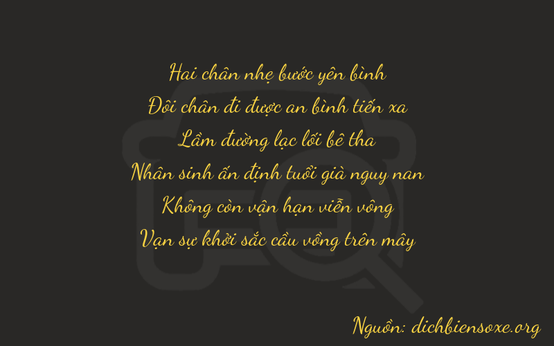 Thơ dịch biển số xe 22101