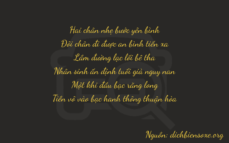Thơ dịch biển số xe 22110