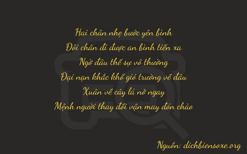 Thơ dịch biển số xe 22263