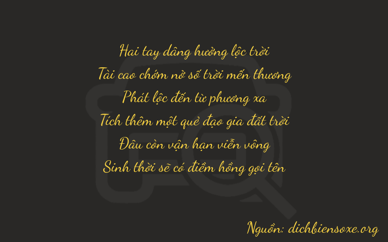 Thơ dịch biển số xe 23805
