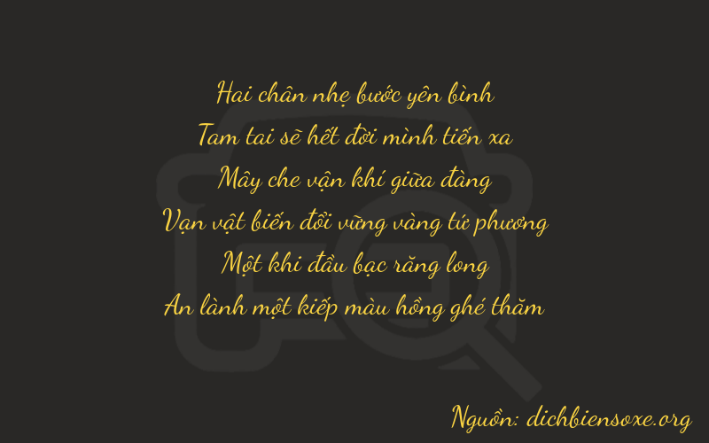 Thơ dịch biển số xe 23811