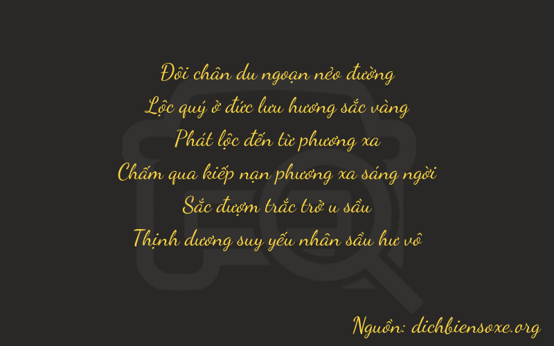 Thơ dịch biển số xe 26800
