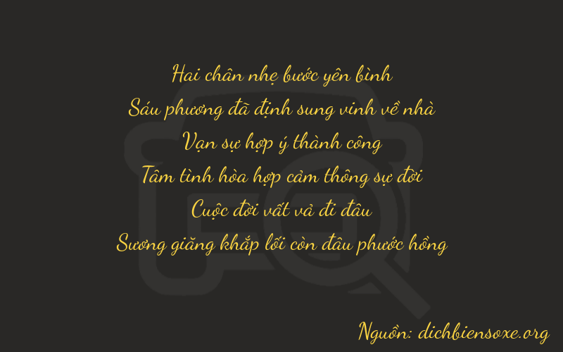 Thơ dịch biển số xe 26874