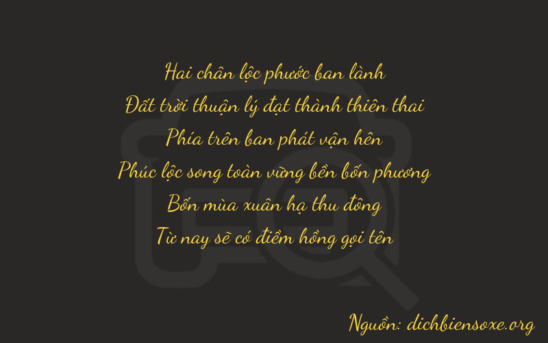 Thơ dịch biển số xe 26945