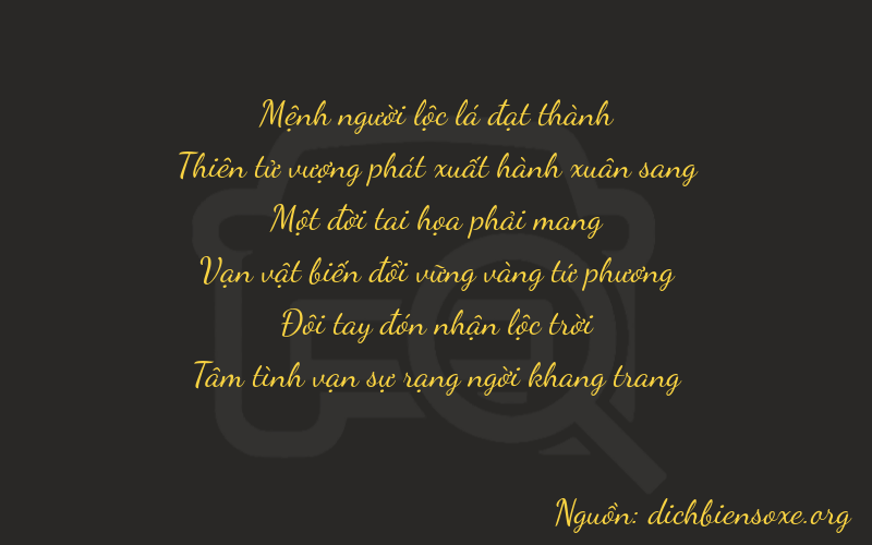 Thơ dịch biển số xe 29124