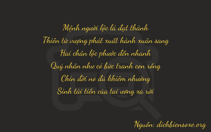 Thơ dịch biển số xe 29295