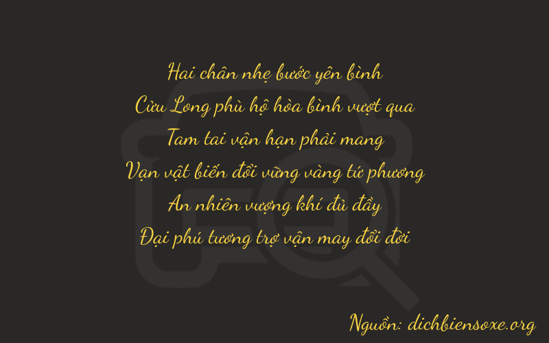 Thơ dịch biển số xe 29316