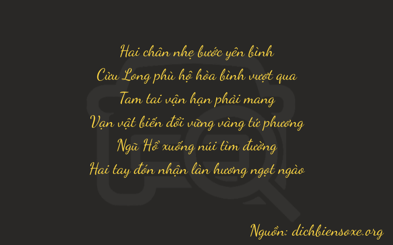 Thơ dịch biển số xe 29352