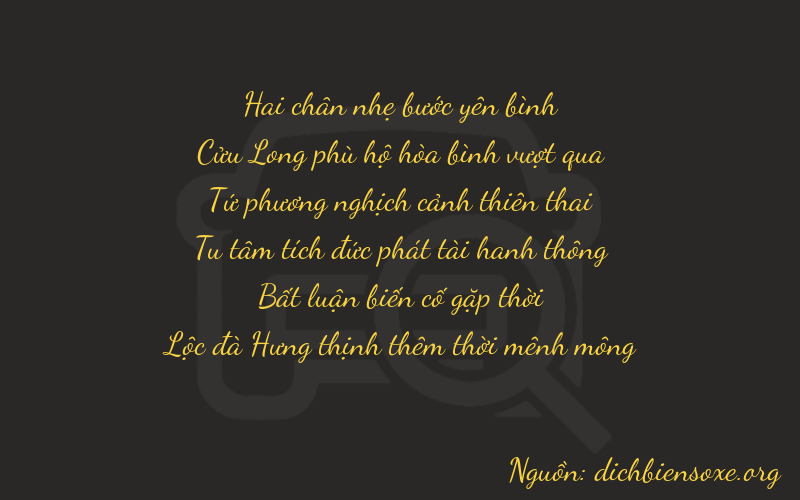 Thơ dịch biển số xe 29406