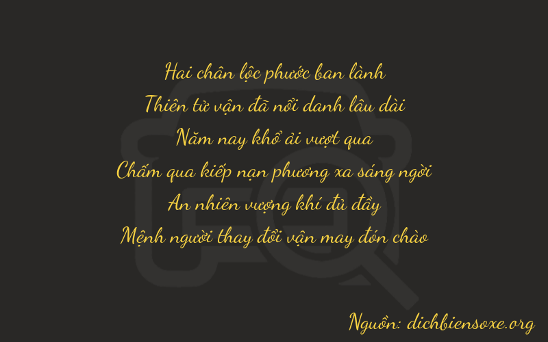 Thơ dịch biển số xe 29513