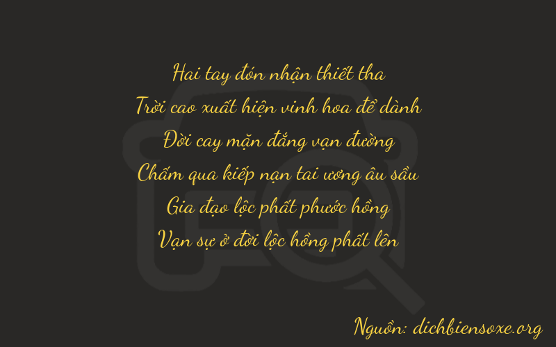 Thơ dịch biển số xe 29564