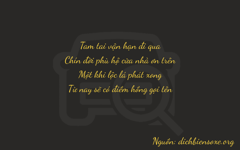 Thơ dịch biển số xe 3915