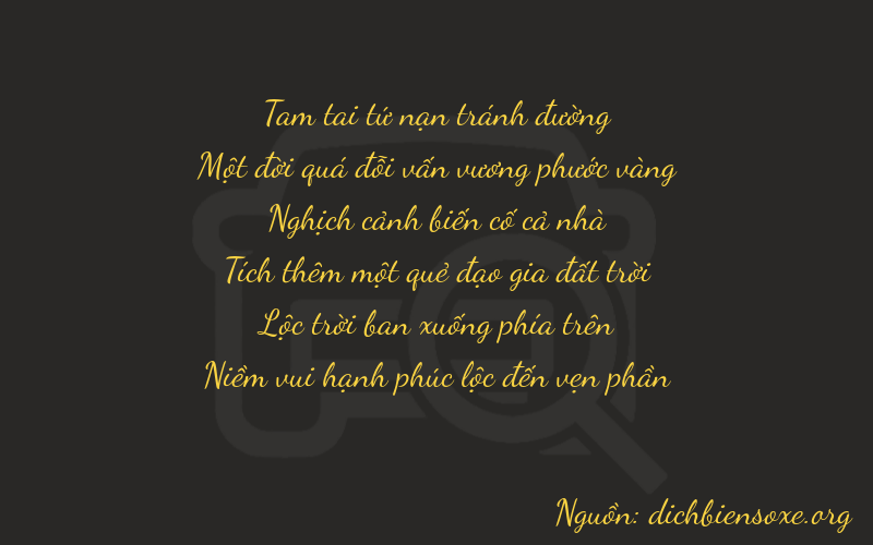 Thơ dịch biển số xe 31463