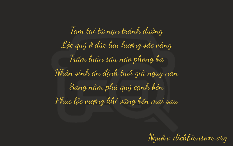 Thơ dịch biển số xe 36356