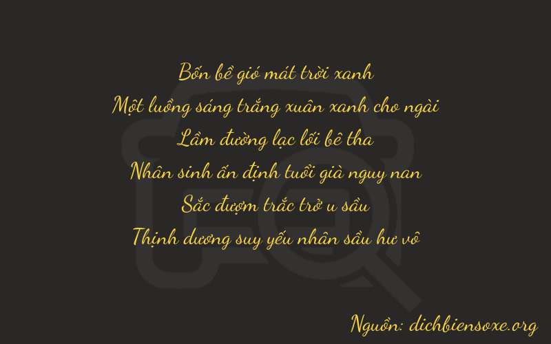Thơ dịch biển số xe 41100