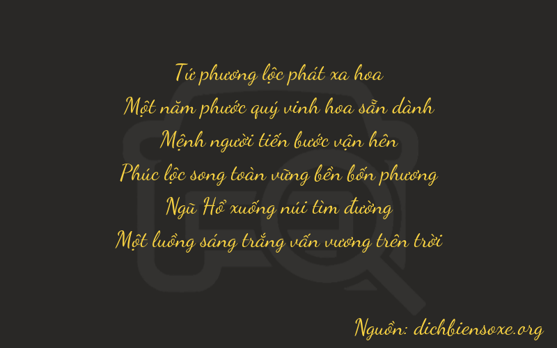 Thơ dịch biển số xe 41251