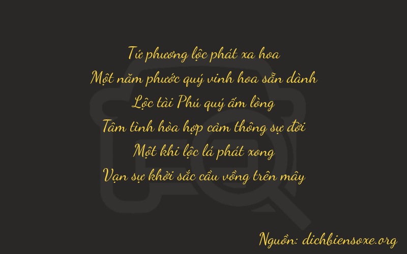 Thơ dịch biển số xe 41611