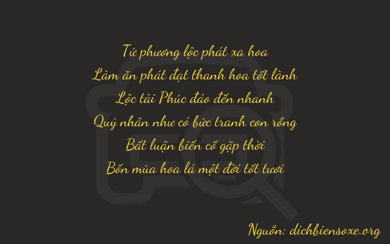 Thơ dịch biển số xe 46601