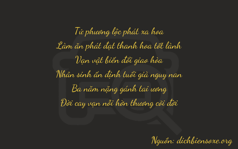 Thơ dịch biển số xe 46637