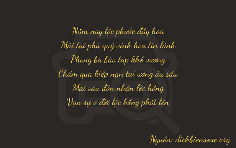 Thơ dịch biển số xe 52924