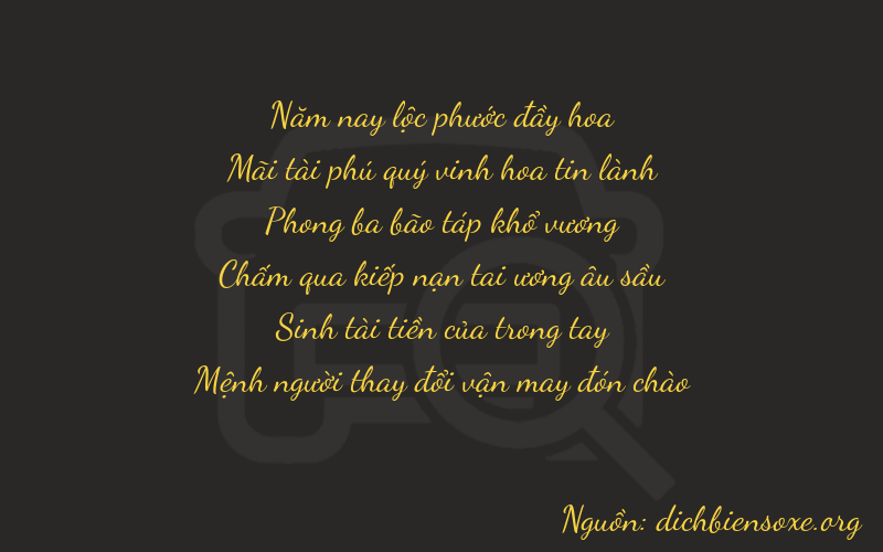Thơ dịch biển số xe 52933