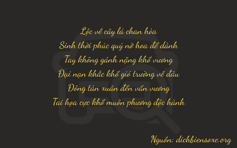 Thơ dịch biển số xe 65041