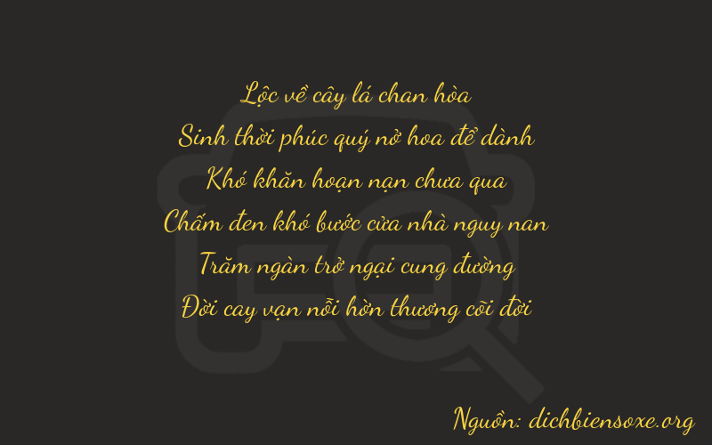 Thơ dịch biển số xe 65077