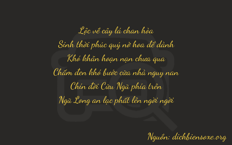 Thơ dịch biển số xe 65095